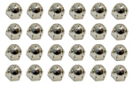 E3738 NUT SET-ACORN-SIDE SEAT HINGE-24 PIECES-78 PACE CAR-79-82